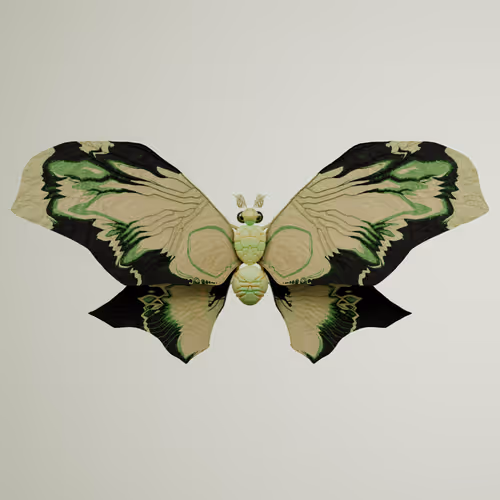 Chrysalism Insect