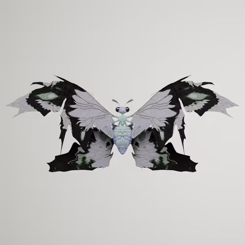 Chrysalism Insect