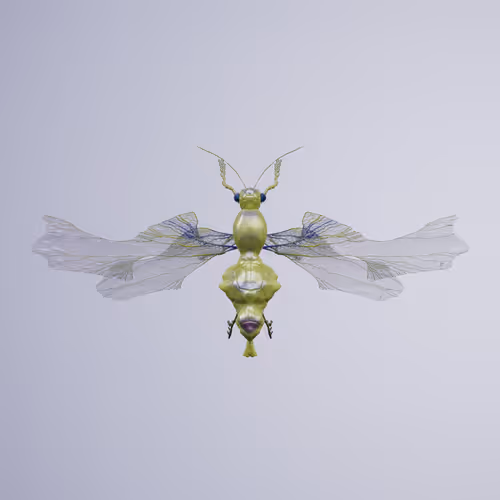 Chrysalism Insect