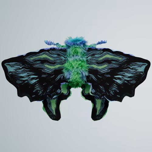 Chrysalism Insect