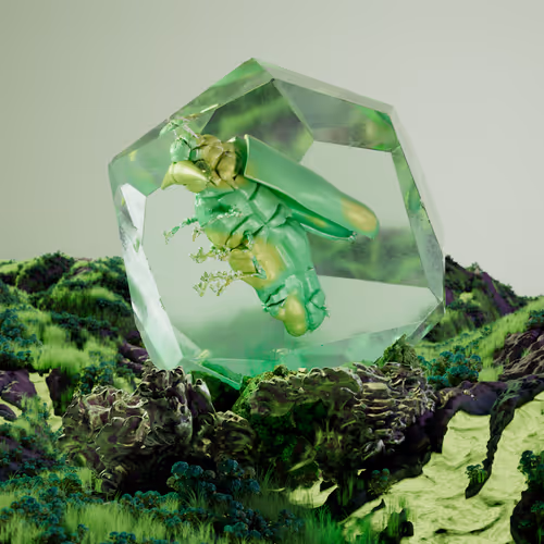 Chrysalism Insect