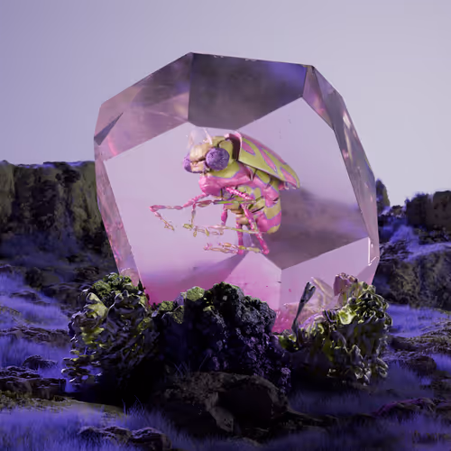Chrysalism Insect