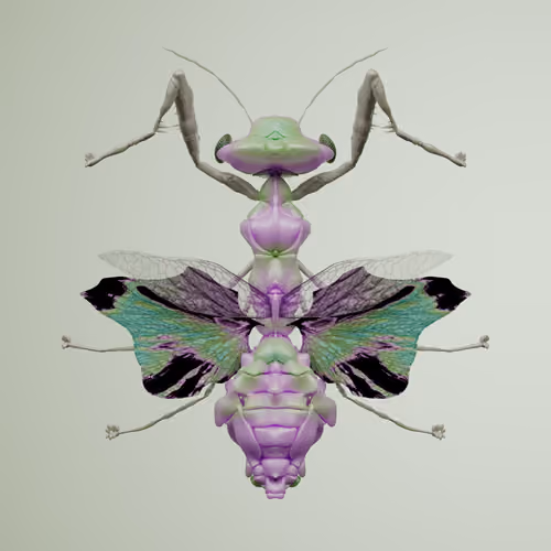 Mantodeacerritulus jubicus