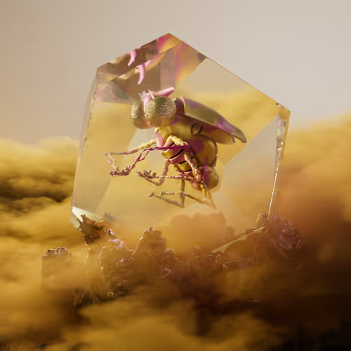 Chrysalism Insect