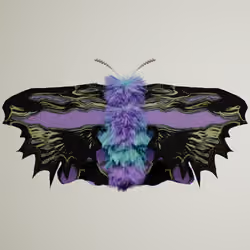 Lepidopteracerritulus maximaria