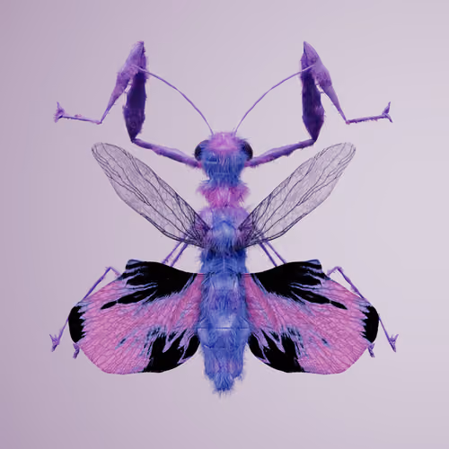 Mantodeaox camelopiosa