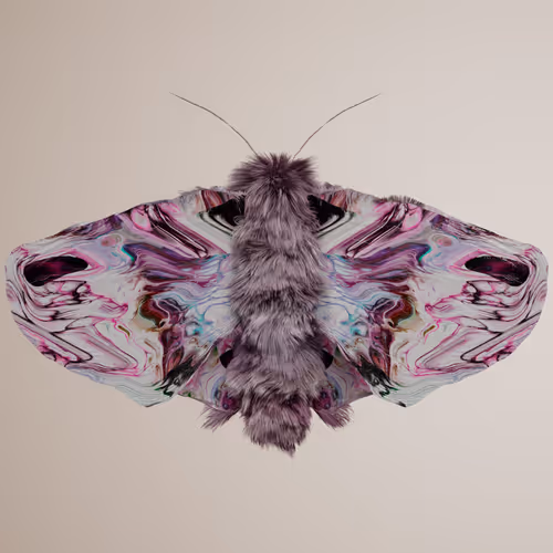 Lepidopteravivida bisonoldti