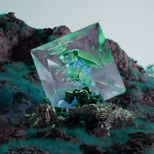 Chrysalism Insect