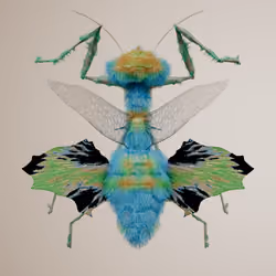 Mantodeavivida troglerus