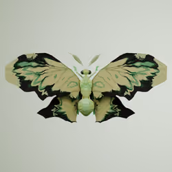 Rhopaloceraong diphofa