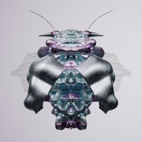 Chrysalism Insect