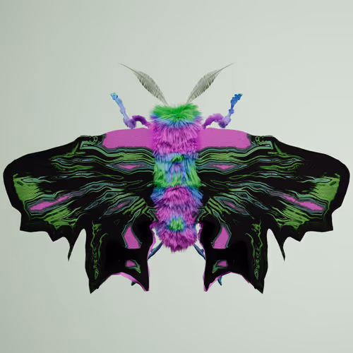 Chrysalism Insect