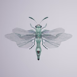 Anisopteraaenidae catesbectum