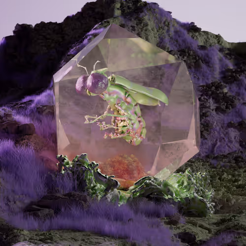Chrysalism Insect