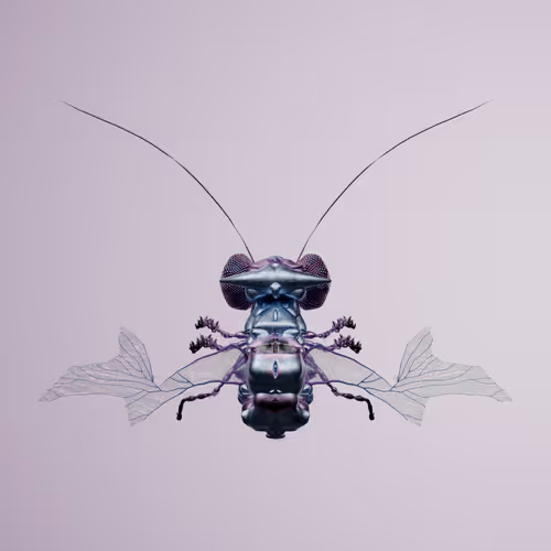 Chrysalism Insect