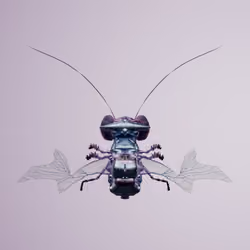 Coleopterasuperbus rubecoyi