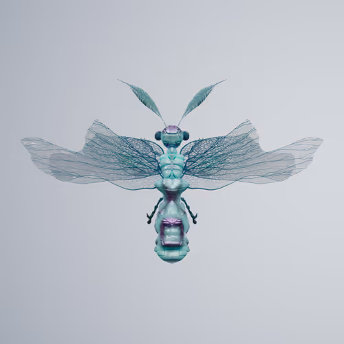 Chrysalism Insect