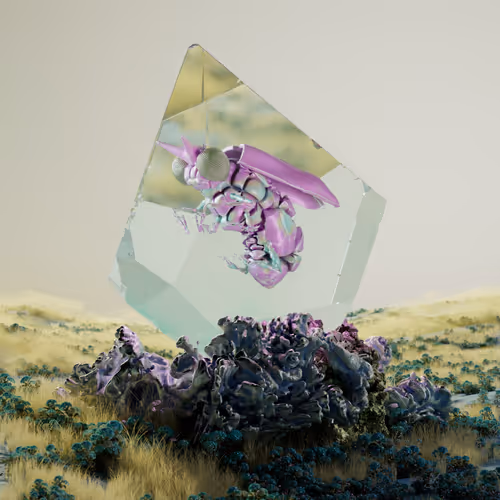 Chrysalism Insect