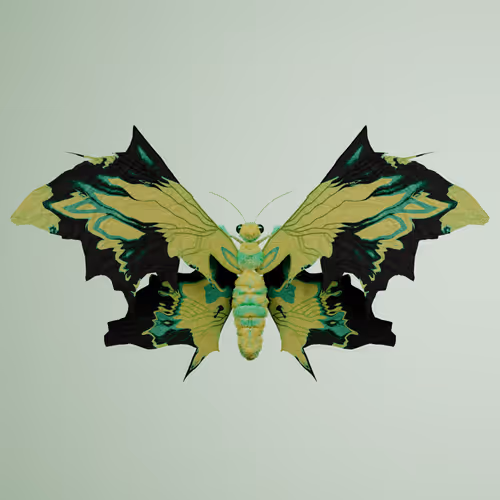 Chrysalism Insect