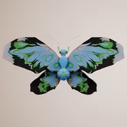 Rhopaloceracerritulus derbisci
