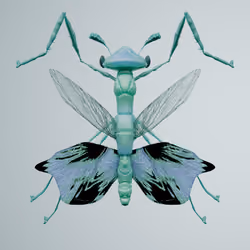 Mantodeaotidae civardalis