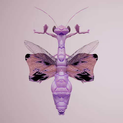 Mantodeaproceritas carchiculus