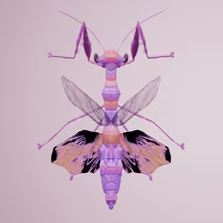 Mantodeavivida temporentus