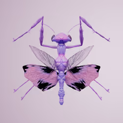 Mantodeaailurus fragius