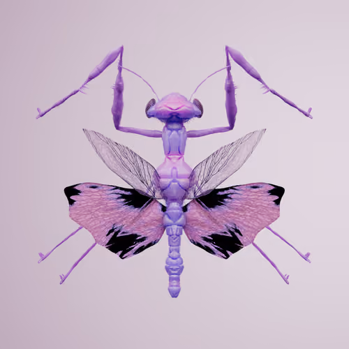 Mantodeaailurus fragius