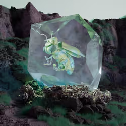 Coleopteracerritulus melanacu