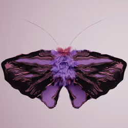 Lepidopterapinguis mephofa