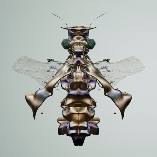 Chrysalism Insect