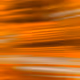 325