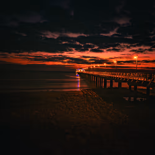 Drop Bear Visuals 1/1