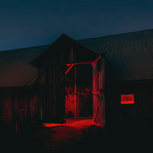 no one leaves the barn