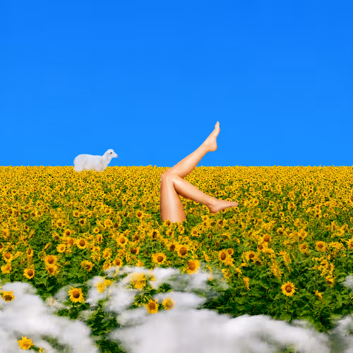 atmosphere of life