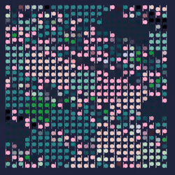 504