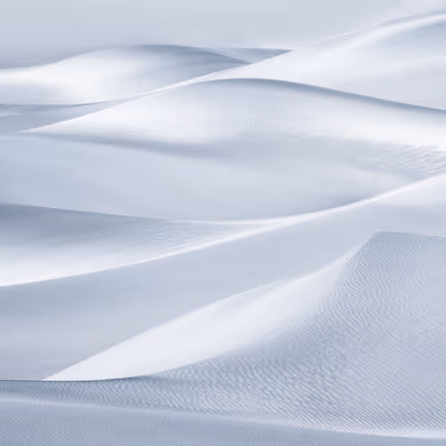 Silver Surf