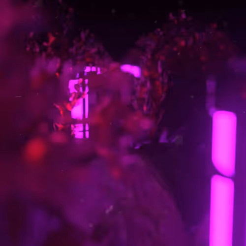 Odesza X Japanese Dad