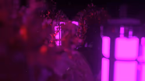 Item #32100020069 Media