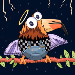 Bird #6720