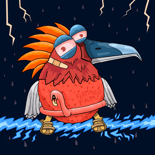 Bird #556