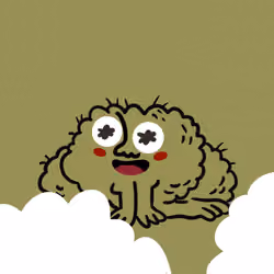 CreatureToad #4842