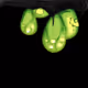 2743