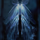 Lost Wings