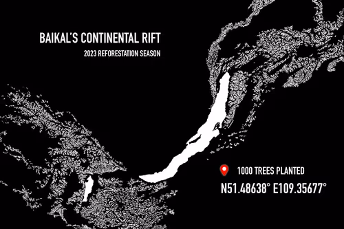 Item #37943077859985672362405624852520785716790679924099411753478095422308128653314 Media