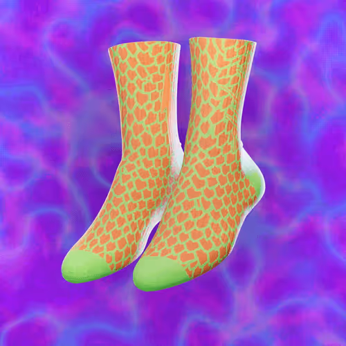 Reptile Socks 🦎