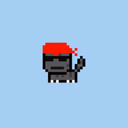 tinycat #2