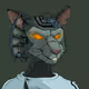 3562