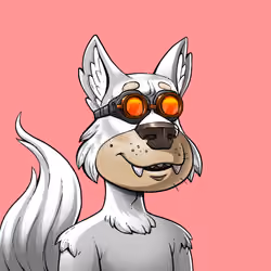 Midnite Wolf Pack #2966